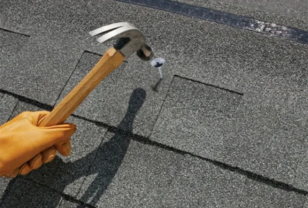 Umbrella Roofing Nails 4