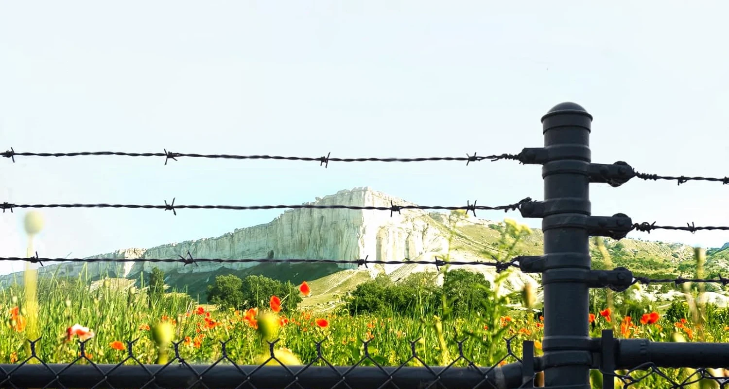Barbed-Wire4