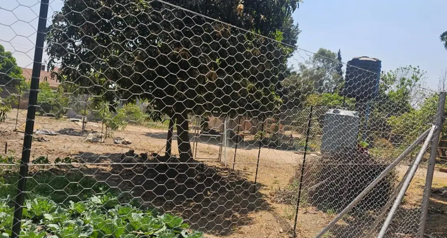 Hexagonal-Wire-Netting1