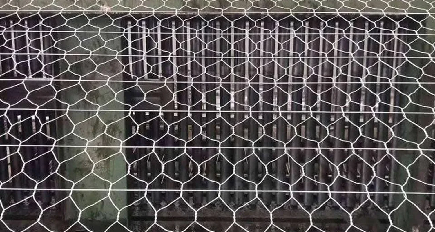 Hexagonal-Wire-Netting2
