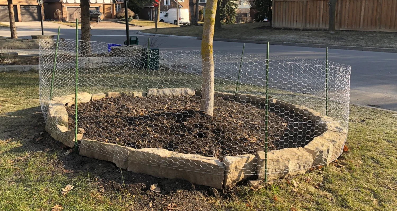 Hexagonal-Wire-Netting3